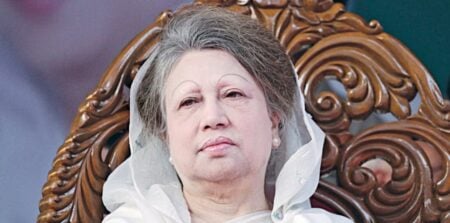 ফুলগাজীতে বিএনপির সদস্য খালেদা জিয়া, ৬ ইউনিয়নে পূর্ণাঙ্গ কমিটি ঘোষণা খালেদা জিয়া