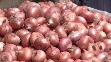 Onion