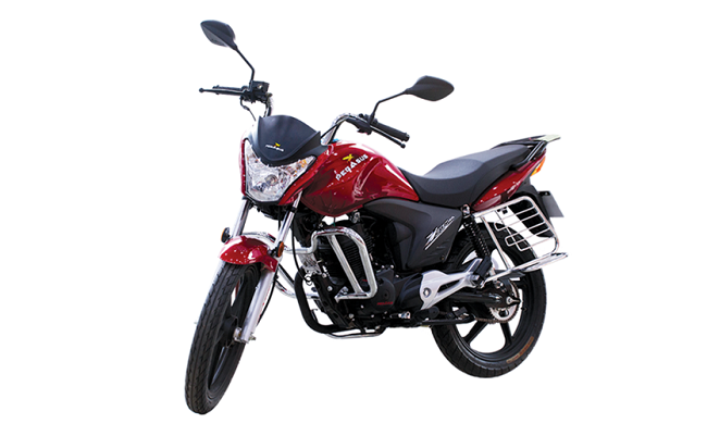 Pegasus Zeus 150 Price in Bangladesh and India
