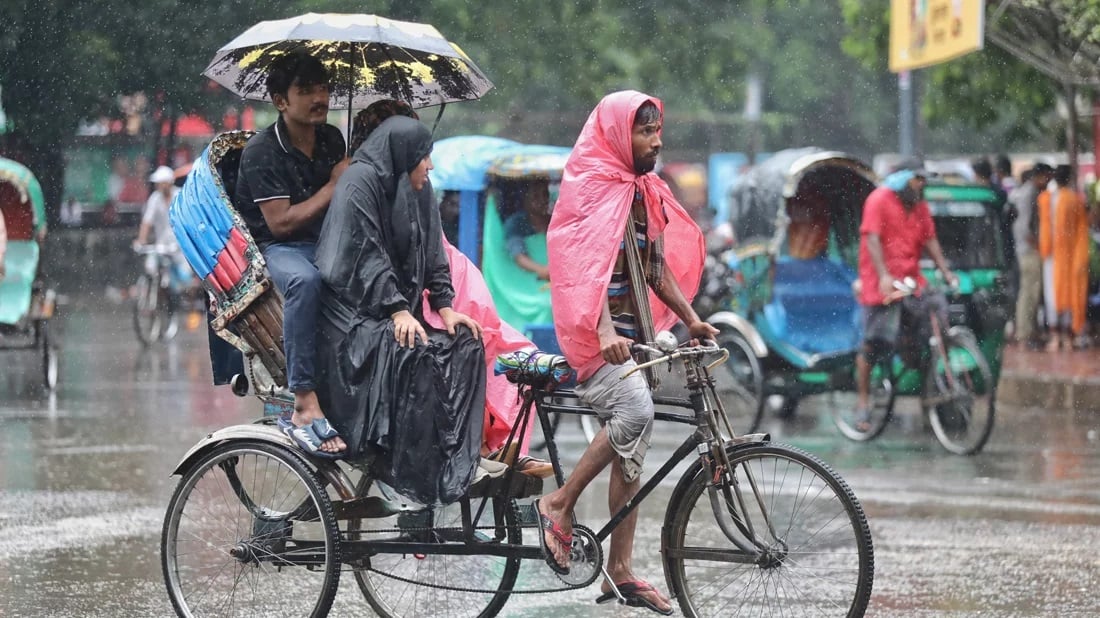 Rain