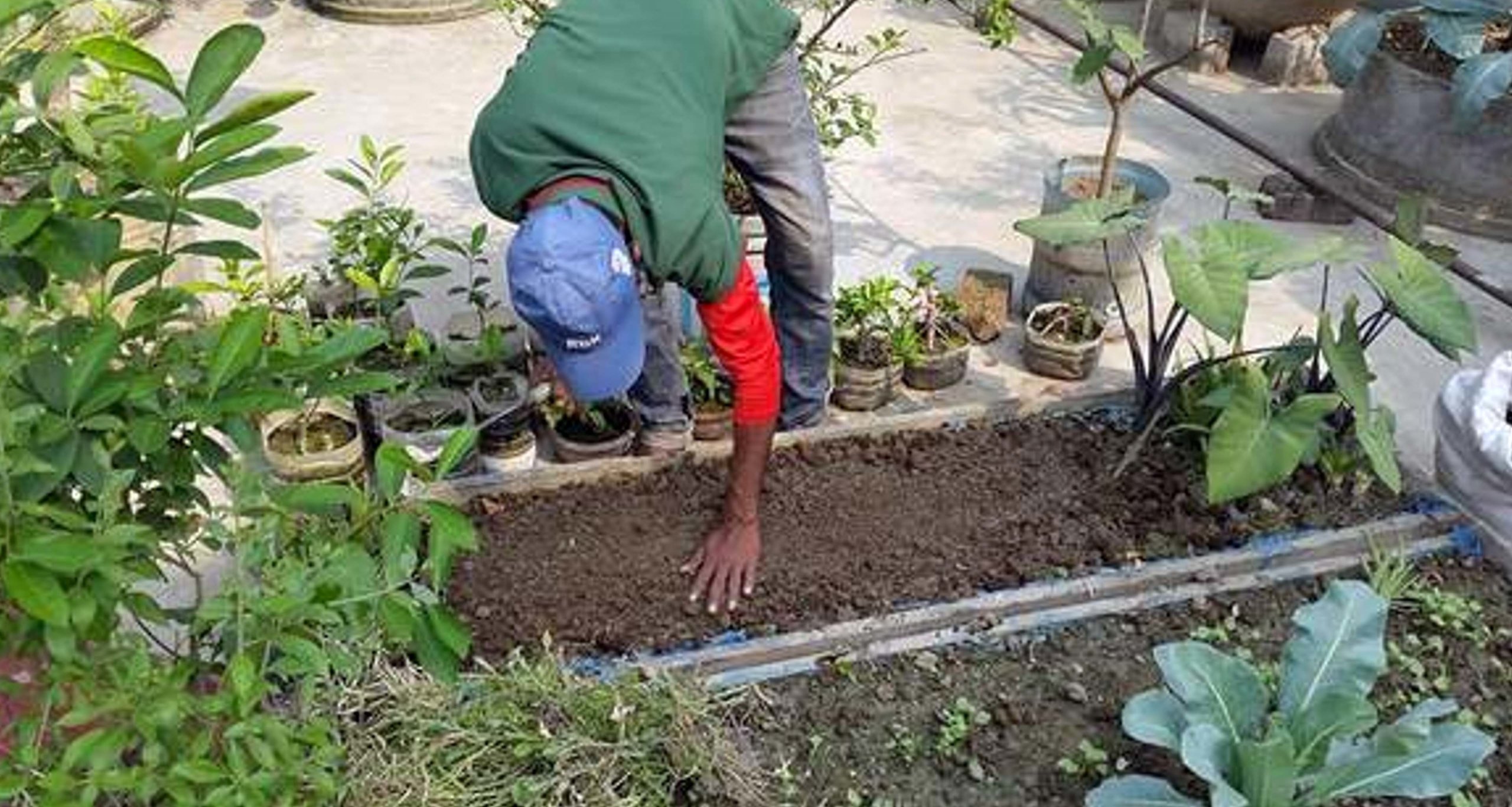 ছাদ-বাগানের-মাটি