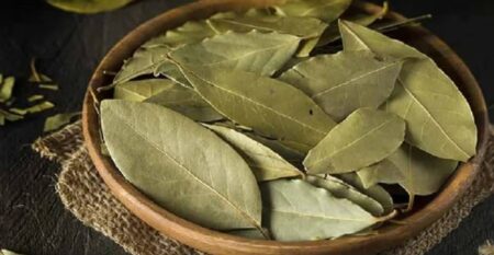 তেজপাতার স্বাস্থ্যগুণ