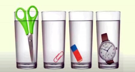 কোন গ্লাসে বেশি পানি রয়েছে? বুদ্ধিমান মানুষরাও সঠিক উত্তর দিতে ব্যর্থ হয়েছেন পানি