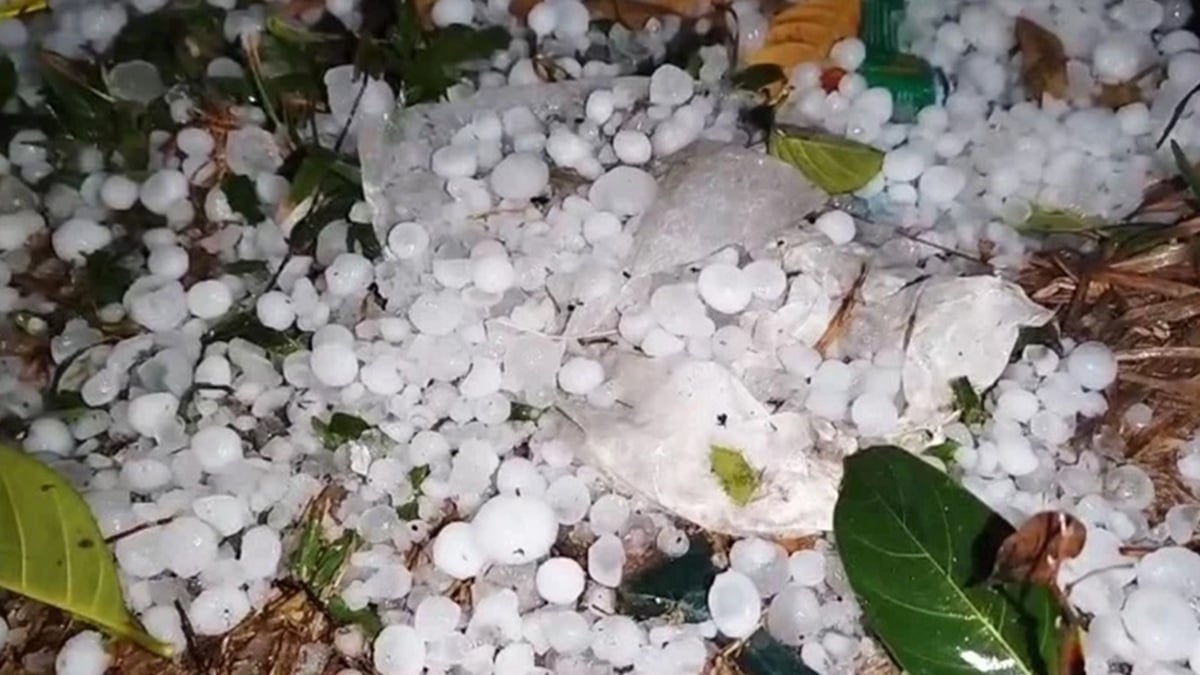 বৃষ্টির সঙ্গে কেন পড়ে
