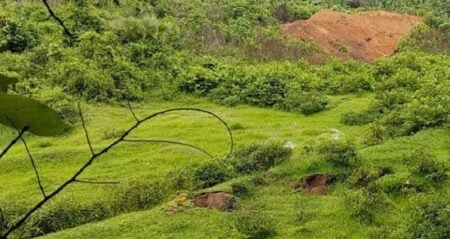 Feny Border