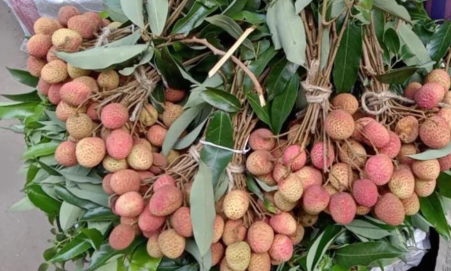 Lichi