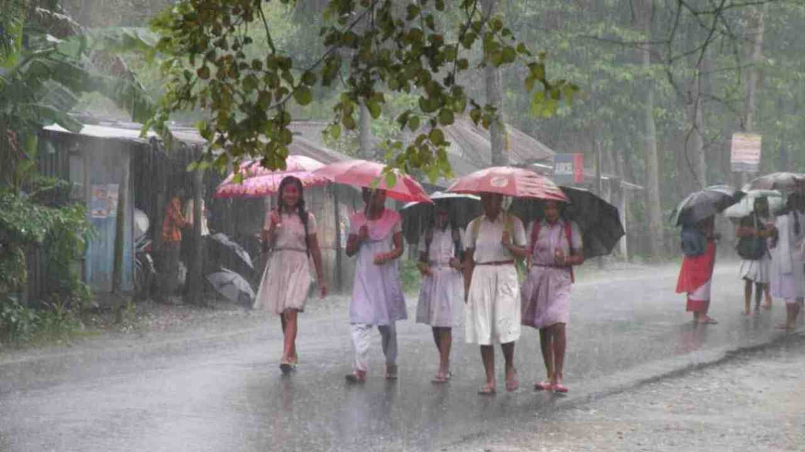Rain