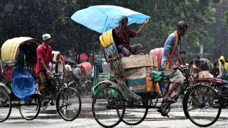 Rain