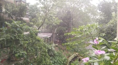 Rain