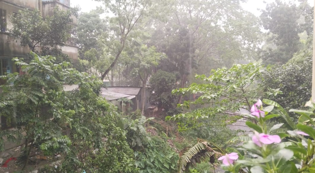 Rain