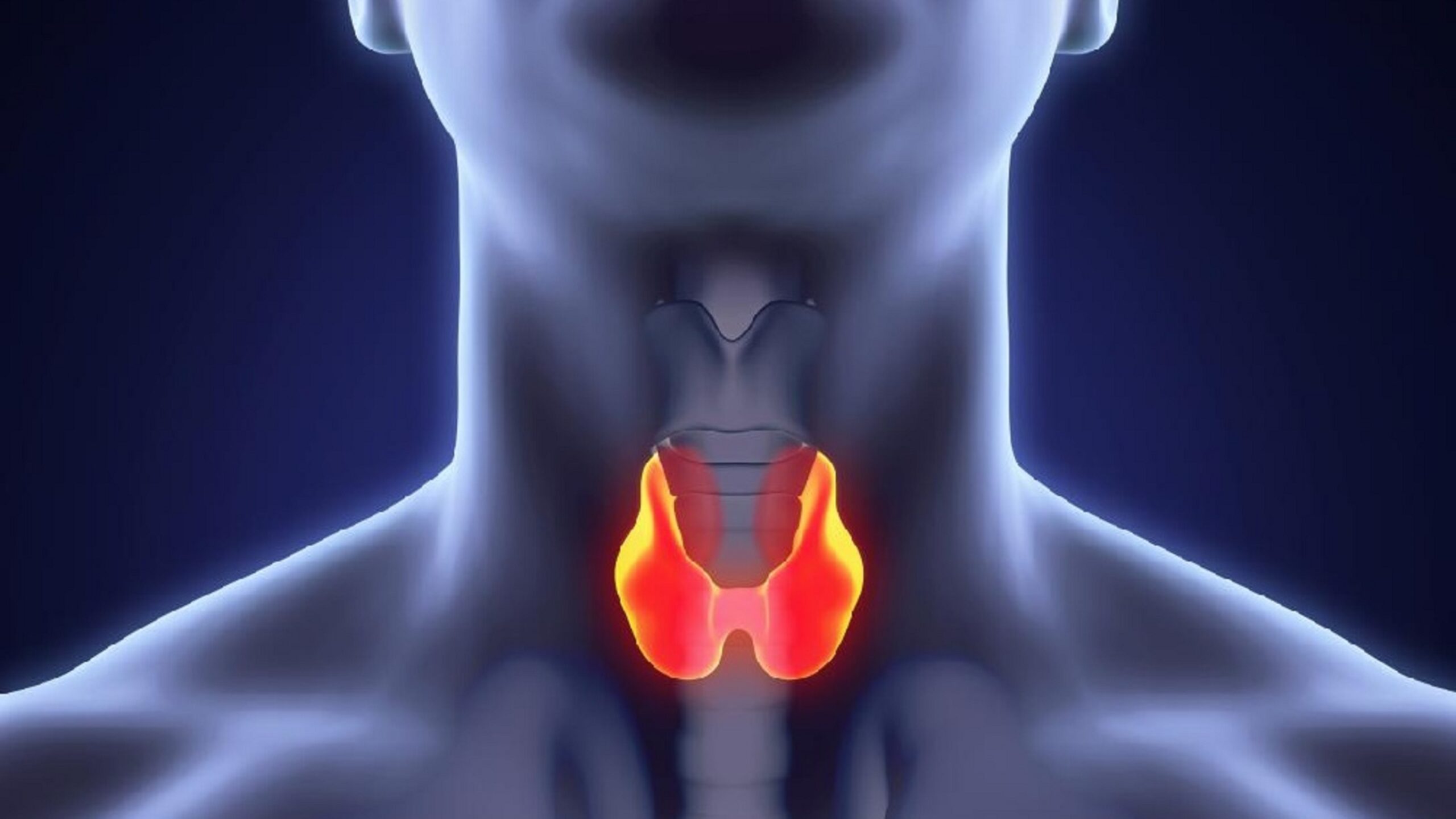 Thyroid Disease