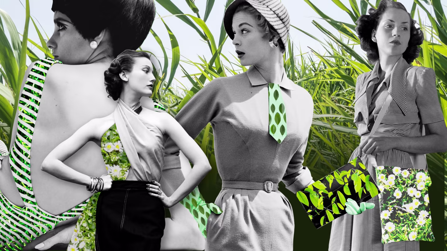 Sustainable Fashion