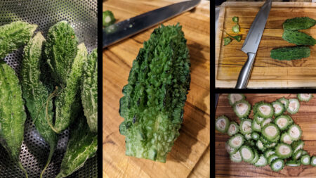 করলার তেতো স্বাদ