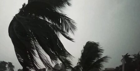 ঝড়ের আভাস