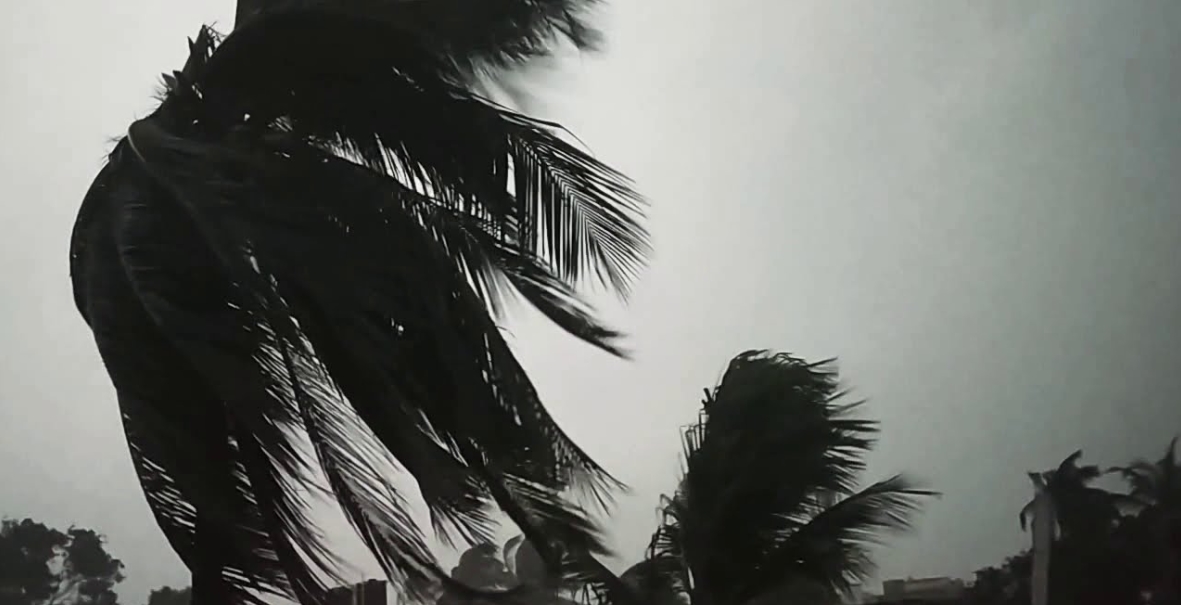 ঝড়ের আভাস