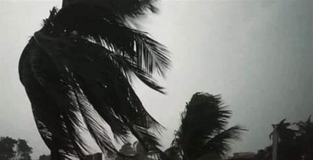 ঝড়