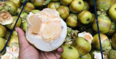 জেনে নিন তালের শাঁস খেলে কোন কোন উপকার পাওয়া যায় তালের শাঁস