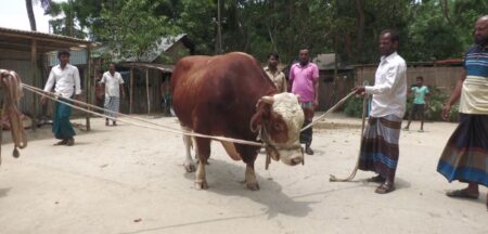 রাজাবাবু