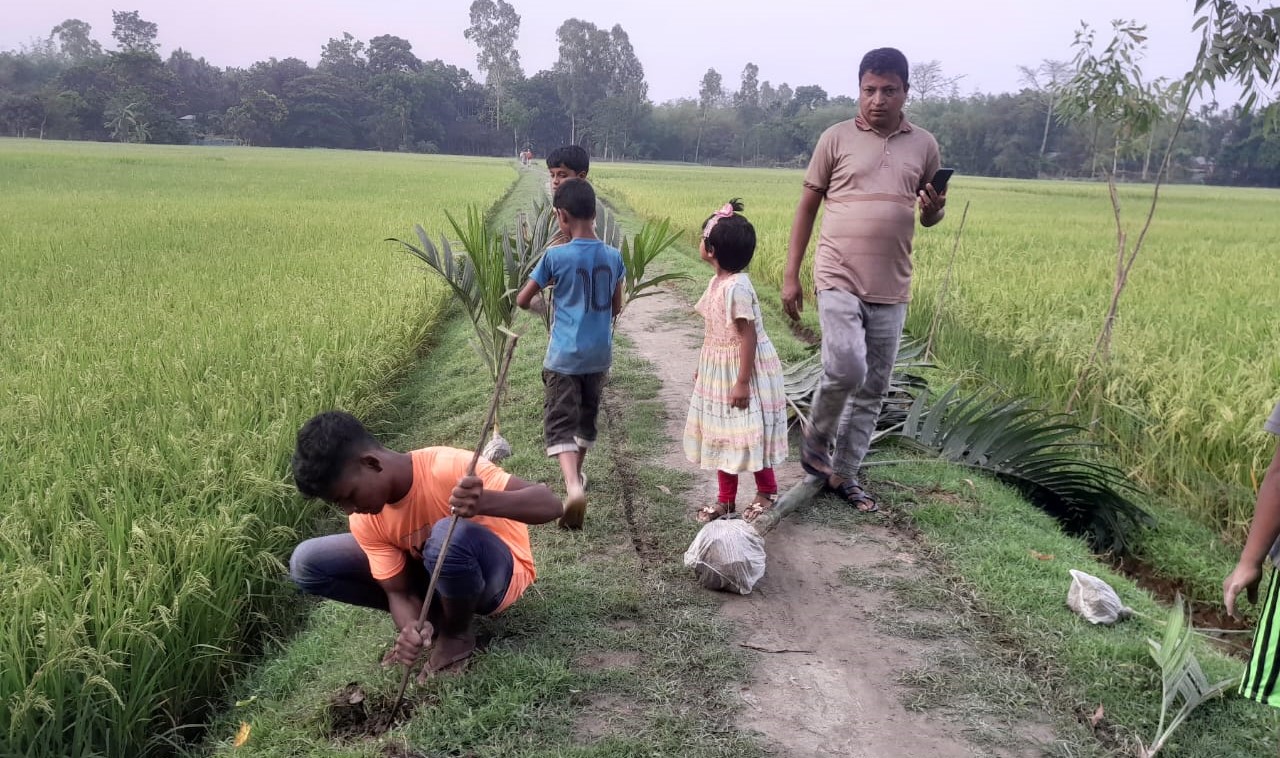 মেঠোপথের দুপাশে লাগানো হচ্ছে সুপারিগাছ, স্বেচ্ছাশ্রম দিচ্ছে শিশুরা