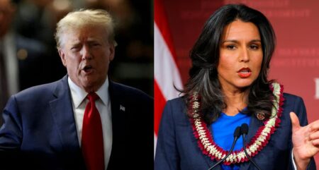 tulsi gabbard