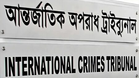 শেখ হাসিনার পক্ষে