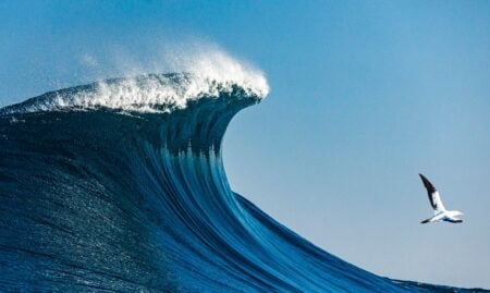 Greenland’s 650-foot Mega-Tsunami: The Science Behind the Nine-Day Wave tsunami wave