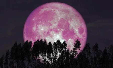 full moon strawberry moon