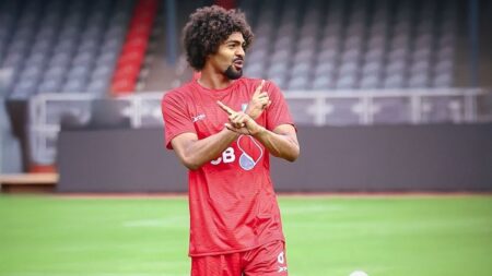 লেস্টার নয়