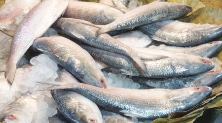 ইলিশ কিনতে গিয়ে মাথায়