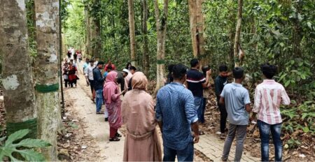 লাউয়াছড়ায় বেড়েছে