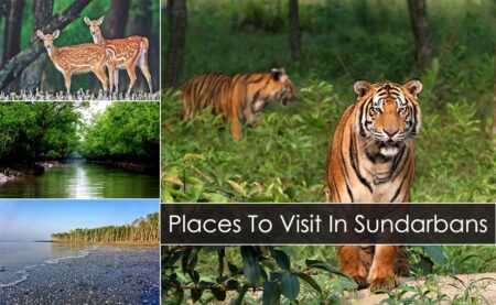 Best Places to Visit in Bangladesh: Sundarbans Mangrove Forest