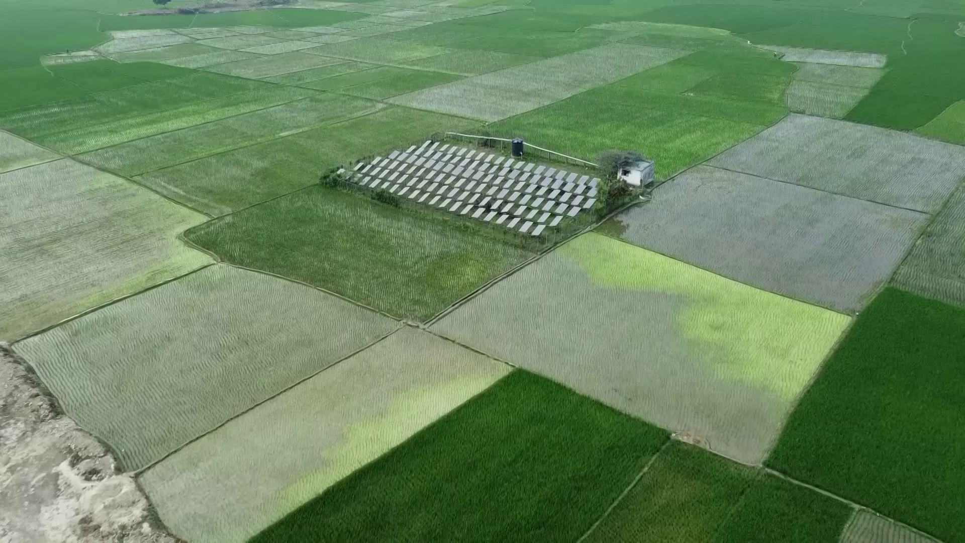 Carbon-free agricultue