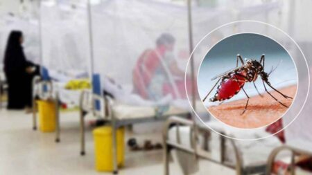 ডেঙ্গু আক্রান্ত হয়ে একদিনে আরো ২৩৪ জন হাসপাতালে ভর্তি Dangue