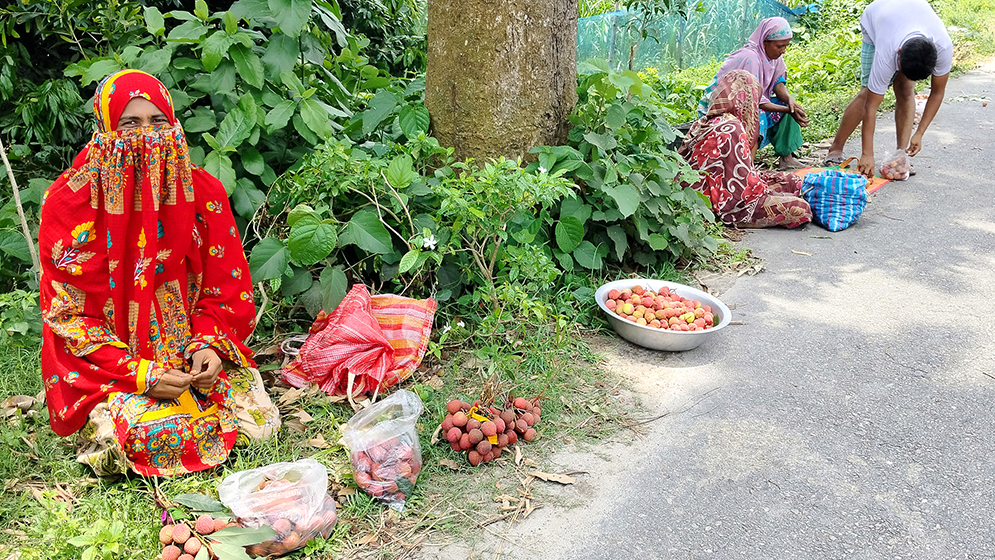 Dinajpur-Lichee Selling in Roadside Photo