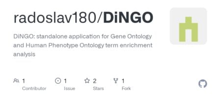 Dingo AI Analytics: Revolutionizing Predictive Data Insights Dingo AI Analytics