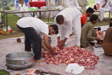 How to Distribute Qurbani Meat According to Islamic Guidelines