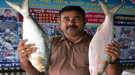 Ilish