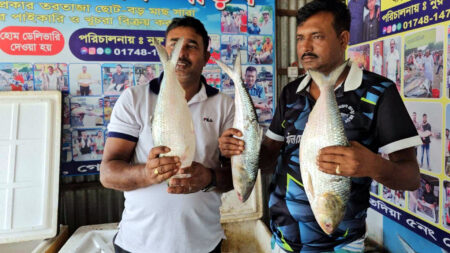 Ilish