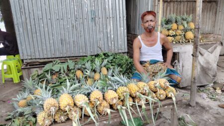 Kaligonj-Gazipur-Seasonal fruit business Liton Mia's extra income from tea and drink shop-1 (2)