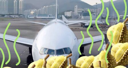 বিমানে কোন ফলটি নিষিদ্ধ, আপনার কাছে পাওয়া গেলে জেল পর্যন্ত হতে পারে Kathal