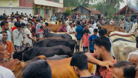 ঈদুল আজহার কোরবানি ও পরিবেশবান্ধব বর্জ্য ব্যবস্থাপনা Qurbani