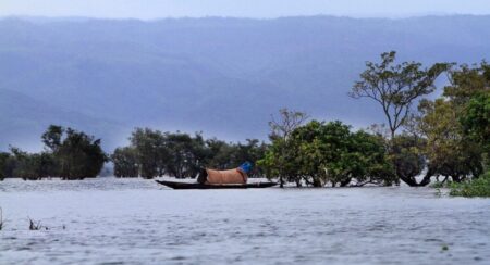 টাঙ্গুয়ার হাওর