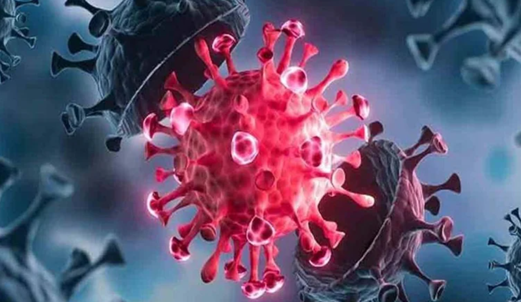 দেশে ফের করোনার হানা, গত ২৪ ঘন্টায় ১৩ জন আক্রান্ত