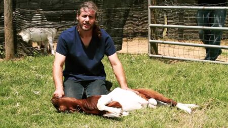 Step-by-Step Guide to Slaughtering Qurbani Animal the Halal Way