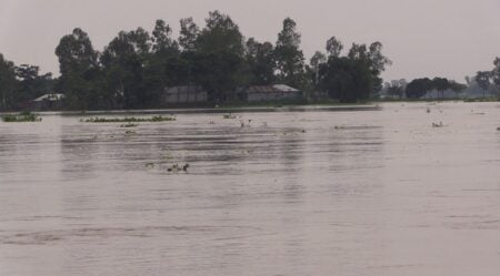 দ্রুত বাড়ছে তিস্তার পানি