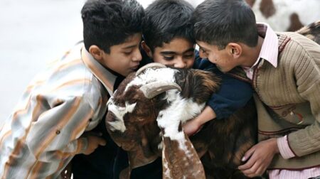 ঈদুল আজহার কোরবানি