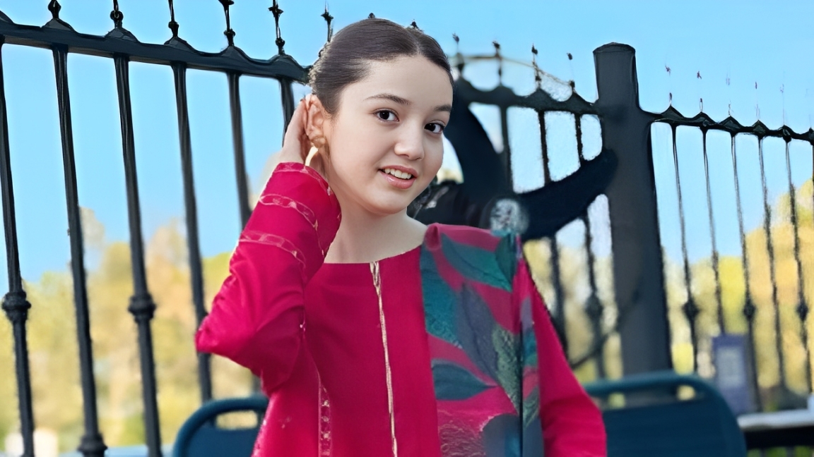 জনপ্রিয় টিকটকারকে গুলি