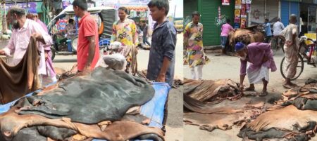 ঈদুল আজহা চামড়া বাজার