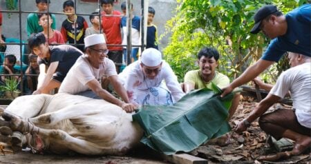 ঈদুল আজহা নিরাপত্তা