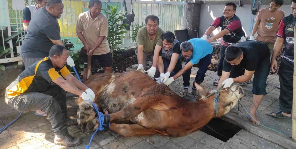 ঈদুল আজহা বর্জ্য সমস্যা